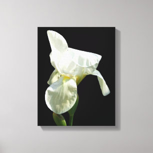 Iris Canvas afdrukken