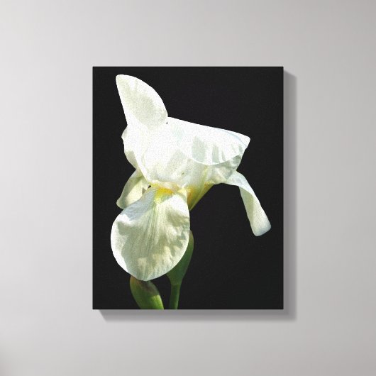 Iris Canvas afdrukken (Voorkant)