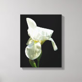 Iris Canvas afdrukken (Voorkant)