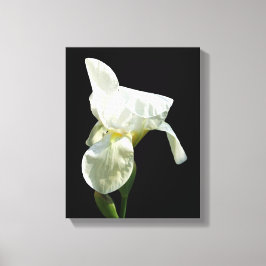 Iris Canvas afdrukken