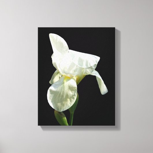 Iris Canvas afdrukken (Voorkant)