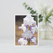 Iris Carolina Gold Briefkaart (Staand voorkant)
