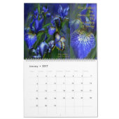 Iris Collectie 2 Art Agenda Kalender (Jan 2017)
