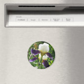 Iris dank je magneet (Insitu (Vaatwasser))