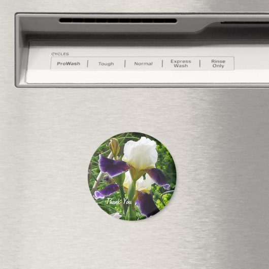 Iris dank je magneet (Insitu (Vaatwasser))