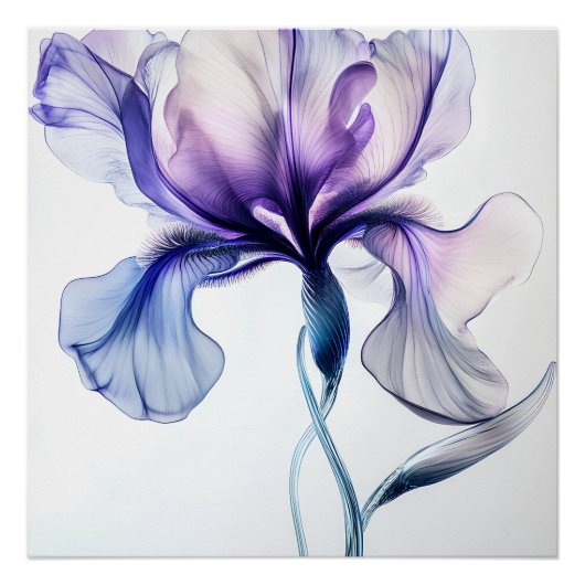 Iris Delicat Perfect Poster (Voorkant)