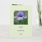Iris Delight Kaart (Achterkant)
