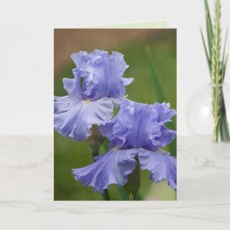 Iris Delight Kaart