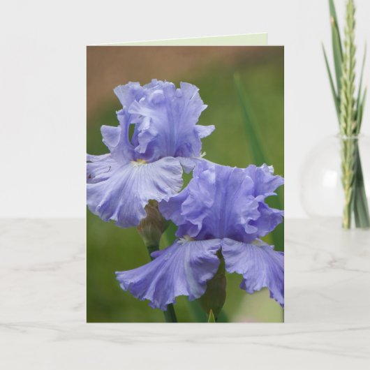Iris Delight Kaart (Voorkant)
