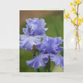 Iris Delight Kaart (Gele Bloem)
