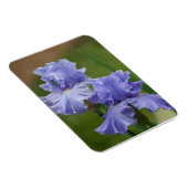 Iris Delight Magneet (Rechterzijde)