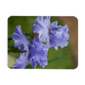 Iris Delight Magneet (Horizontaal)
