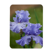 Iris Delight Magneet (Verticaal)