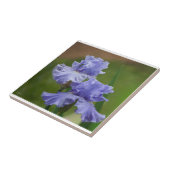 Iris Delight Tegeltje (Zijkant)