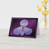"Iris" - Donker Paarse achtergrond GC Kaart (Gele Bloem)