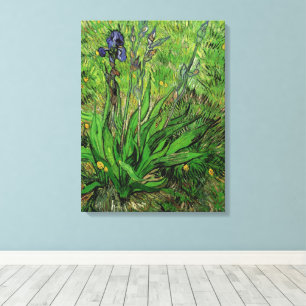 Iris door Vincent van Gogh, Oude Tuinbloemen Canvas Afdruk
