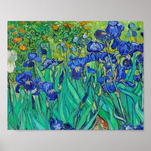 Iris door Vincent Van Gogh Poster (Voorkant)