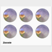 Iris Dream Ronde Sticker (Vel)