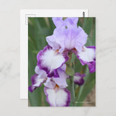 Iris "Eagle Flight" (Briefkaart) ポ カ ー ド Briefkaart (Voorkant / Achterkant)