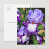 Iris "Eagle Flight" (Briefkaart) ポ カ ー ド Briefkaart (Voorkant / Achterkant)