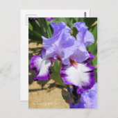 Iris "Eagle Flight" (Briefkaart) ポ カ ー ド Briefkaart (Voorkant / Achterkant)