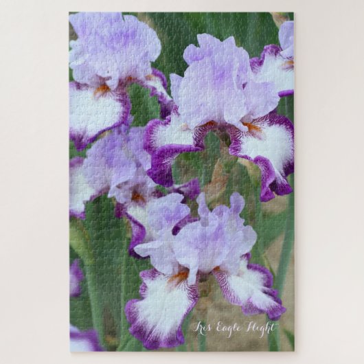 Iris‘Eagle Flight’  [Legpuzzel: 1014P] Legpuzzel (Verticaal)