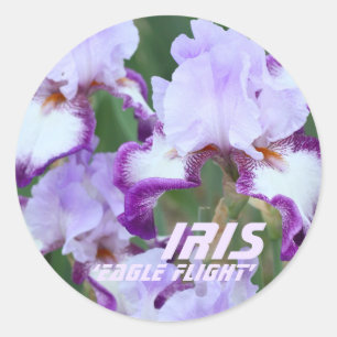 Iris"Eagle Flight" [Rondzegel] ラ ン ド シ ル ウ Ronde Sticker