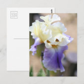 Iris "Edith Wolford" (Briefkaart) Briefkaart (Voorkant / Achterkant)