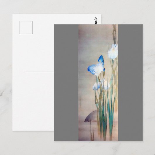 Iris en Carp, Watanabe Seitei Briefkaart (Voorkant / Achterkant)