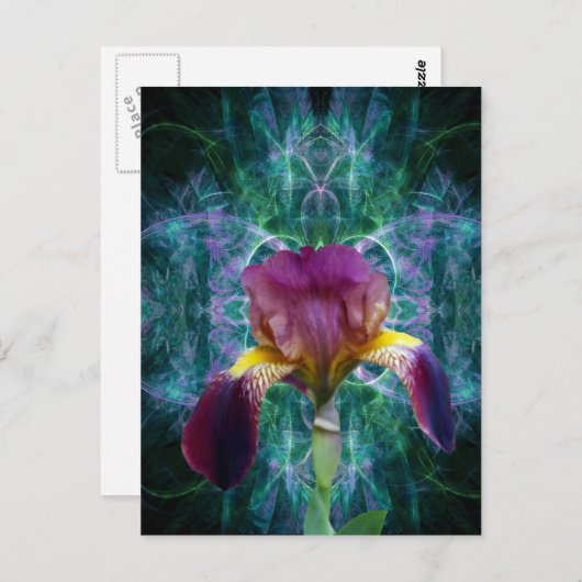 Iris en de betekenis ervan briefkaart (Voorkant / Achterkant)