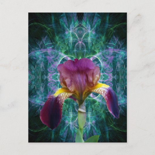 Iris en de betekenis ervan briefkaart (Voorkant)