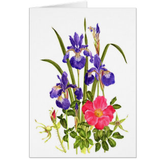 Iris en doorsnede Roos