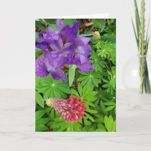 Iris en Lupine Floral tante Birthday Kaart (Voorkant)