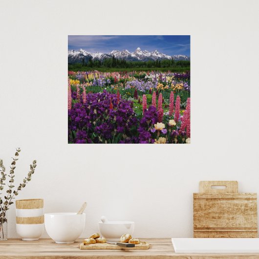 Iris en Lupine garden en Teton Range; Poster (Keuken)