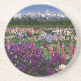 Iris en Lupine garden en Teton Range; Zandsteen Onderzetter