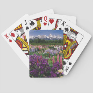 Iris- en Lupine-tuin en Teton-gebergte, Speelkaarten