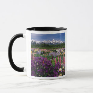 Iris en Lupine tuin en Teton Range, Mok