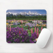 Iris- en Lupine-tuin en Teton Range, Muismat (Met muis)