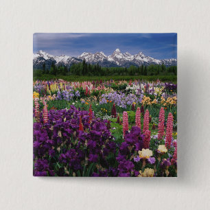 Iris- en Lupine-tuin en Teton Range, Vierkante Button 5,1 Cm