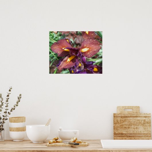 Iris et pluie poster (Keuken)