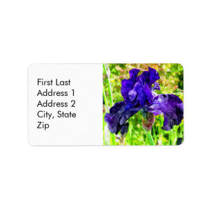 Iris Etiket