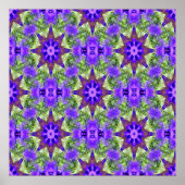 Iris Field..... Poster (Voorkant)