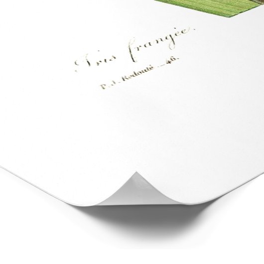 Iris fimbriata poster (Hoek)