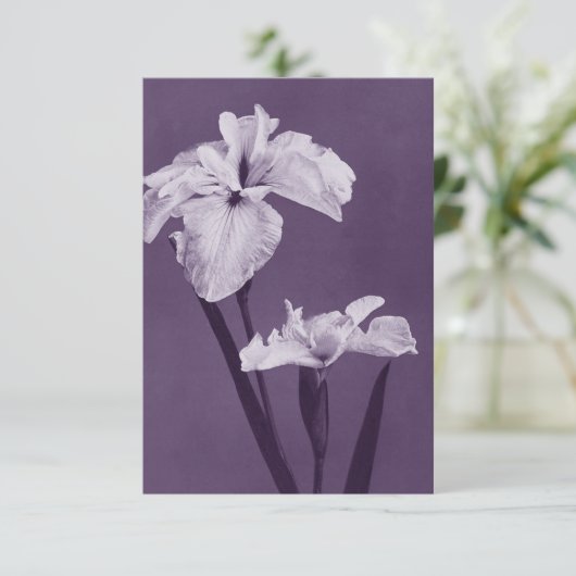 Iris Fine Art Bedankkaart (Staand voorkant)