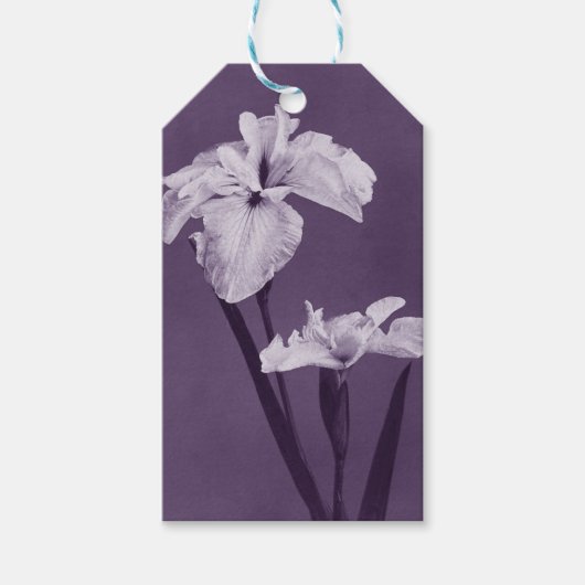 Iris Fine Art Cadeaulabel (Voorkant)