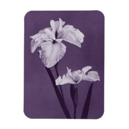 Iris Fine Art Magneet