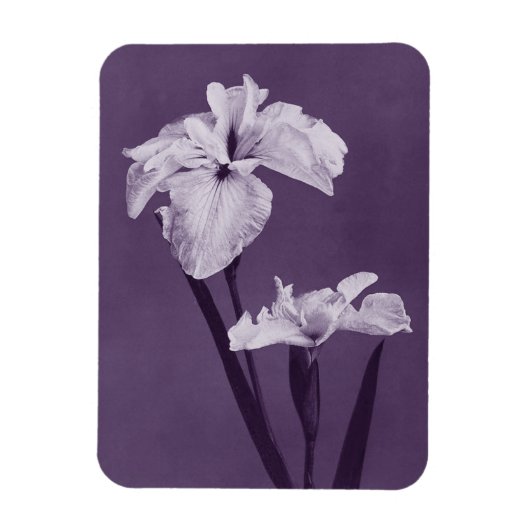 Iris Fine Art Magneet (Verticaal)