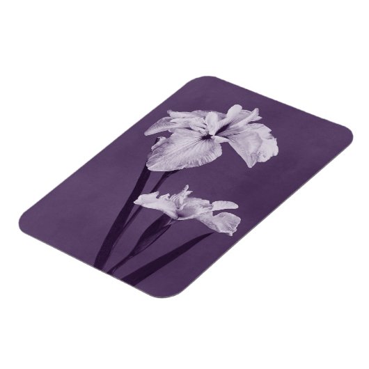 Iris Fine Art Magneet (Linkerzijde)