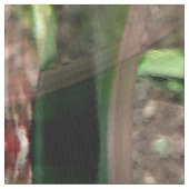 Iris Floats.... Stof (Close Up)