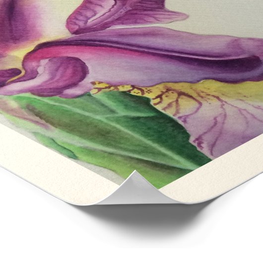 Iris Floral Art Print geschikt voor Miranda (Hoek)